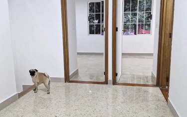 Casa En Arriendo En Castropol El Poblado | 260 M², Terraza, Mansarda Y Jacuzzi Cerca De Milla De Oro Con 4 Habitaciones Más Servicio, 5 Baños Y Parqueadero Doble