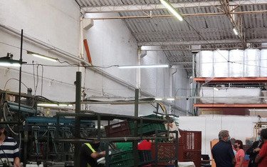 Bodega En Arriendo En Barrio Colombia, Poblado, Medellín | 2.450 M² Construidos Y Amplias Áreas Operativas