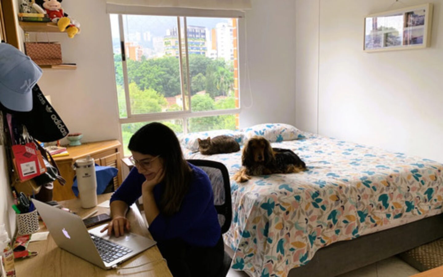 Apartamento En Arriendo En El Poblado Medellín Sector Patio Bonito | 3 Habitaciones, 2 Baños Y Parqueadero